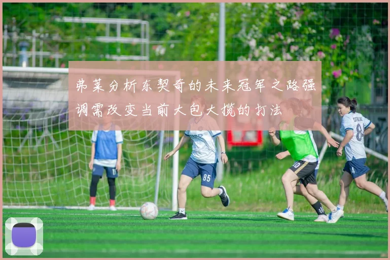 弗莱分析东契奇的未来冠军之路强调需改变当前大包大揽的打法